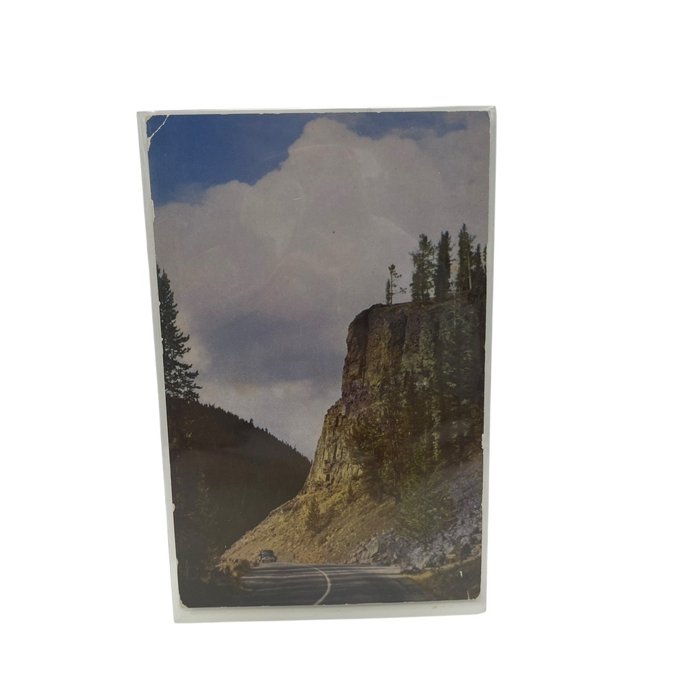 Obsidian Cliff Yellowstone Park Overlooking Beaver Lake Vintage‎ Photo Postcard